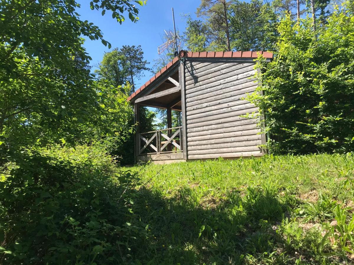 Les Chalets Du Lac Passavant-la-Rochère Exterior photo